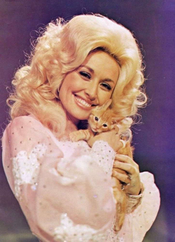 SINGLE PROCESS ALL-OVER at Sins of New York in New York, NY