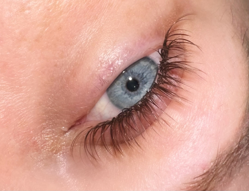 BROWN Classic Lash Extensions
