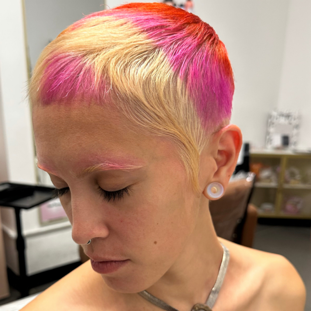 Existing VIP Custom Color at KaiEvelyn Hair Studio in Brooklyn, NY