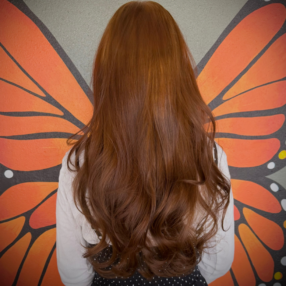 Luxury Wash, Blow-Dry & Style at ModBeauty in Co Springs, CO