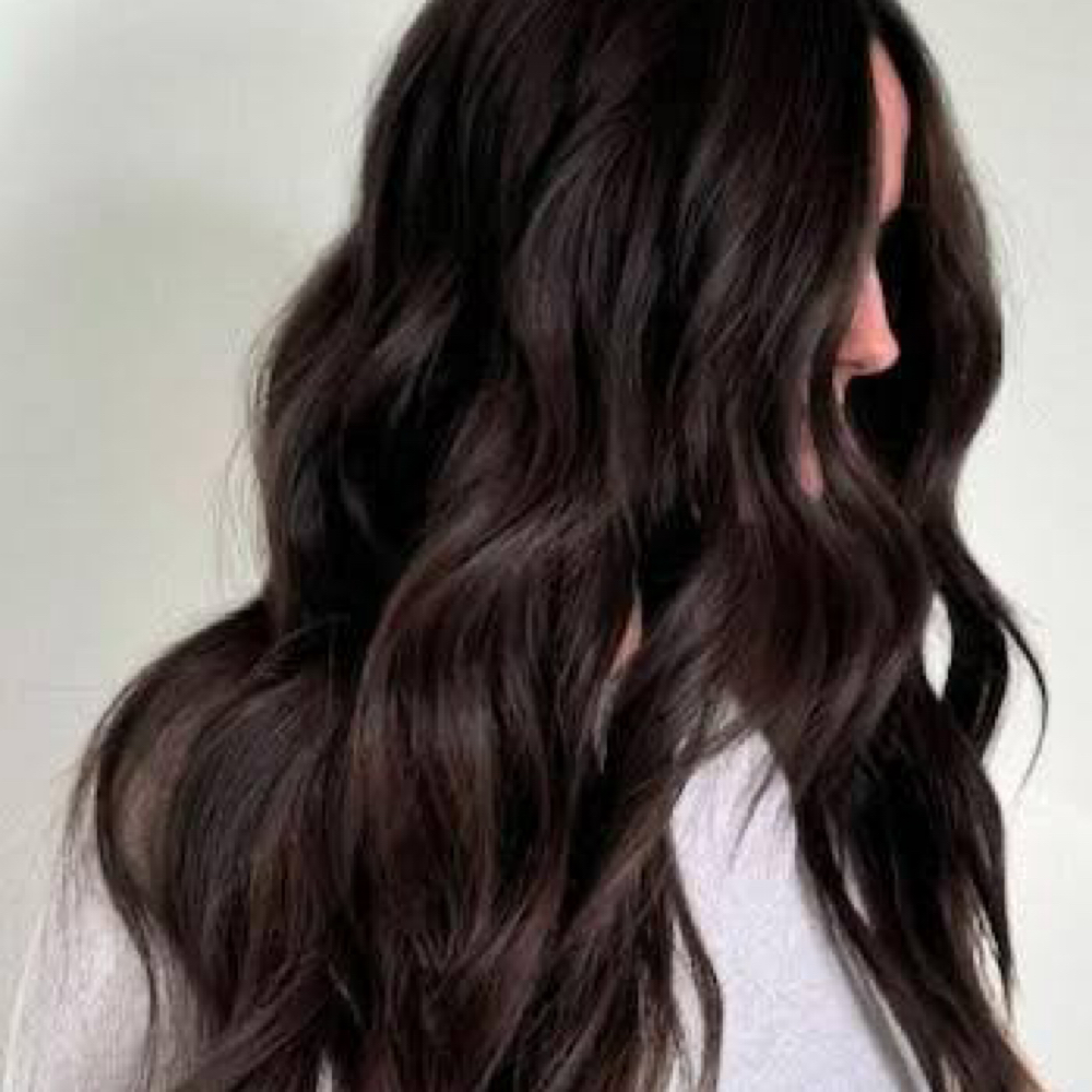 GLOBAL COLOR at Salon L.A. in Lenexa, KS