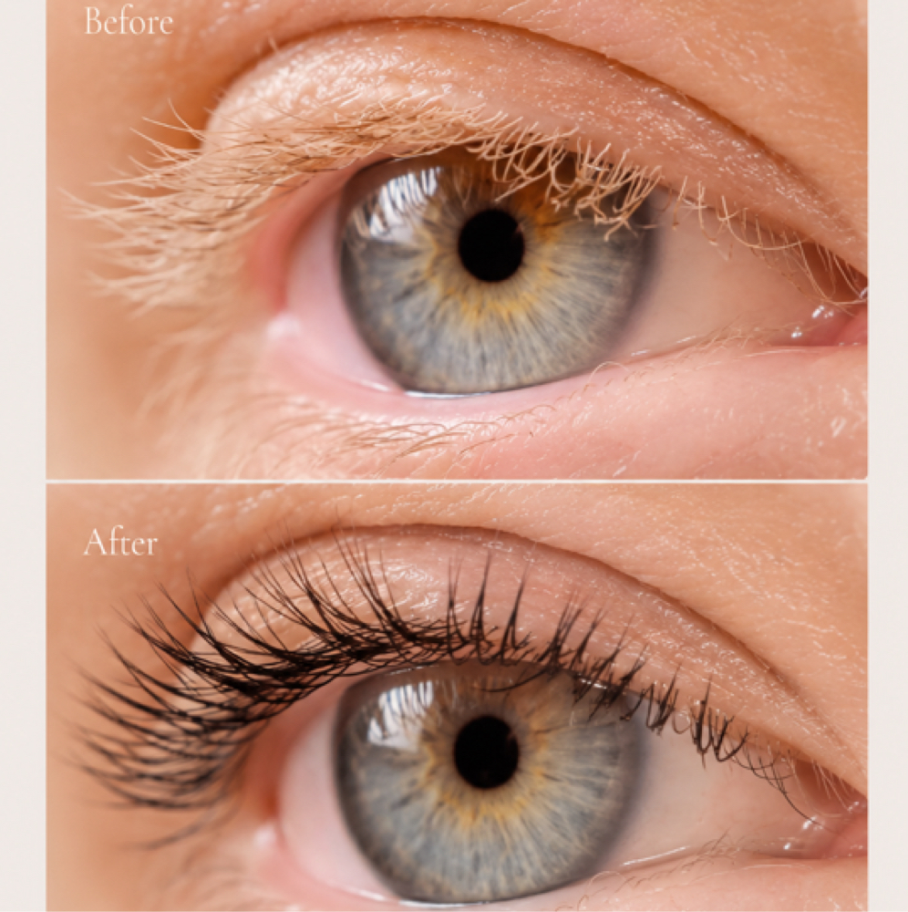 Lash Tint at Maison Beauty NYC in Newyork, NY