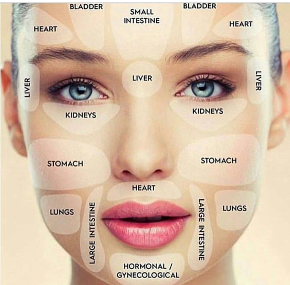 Curated Contour Facial