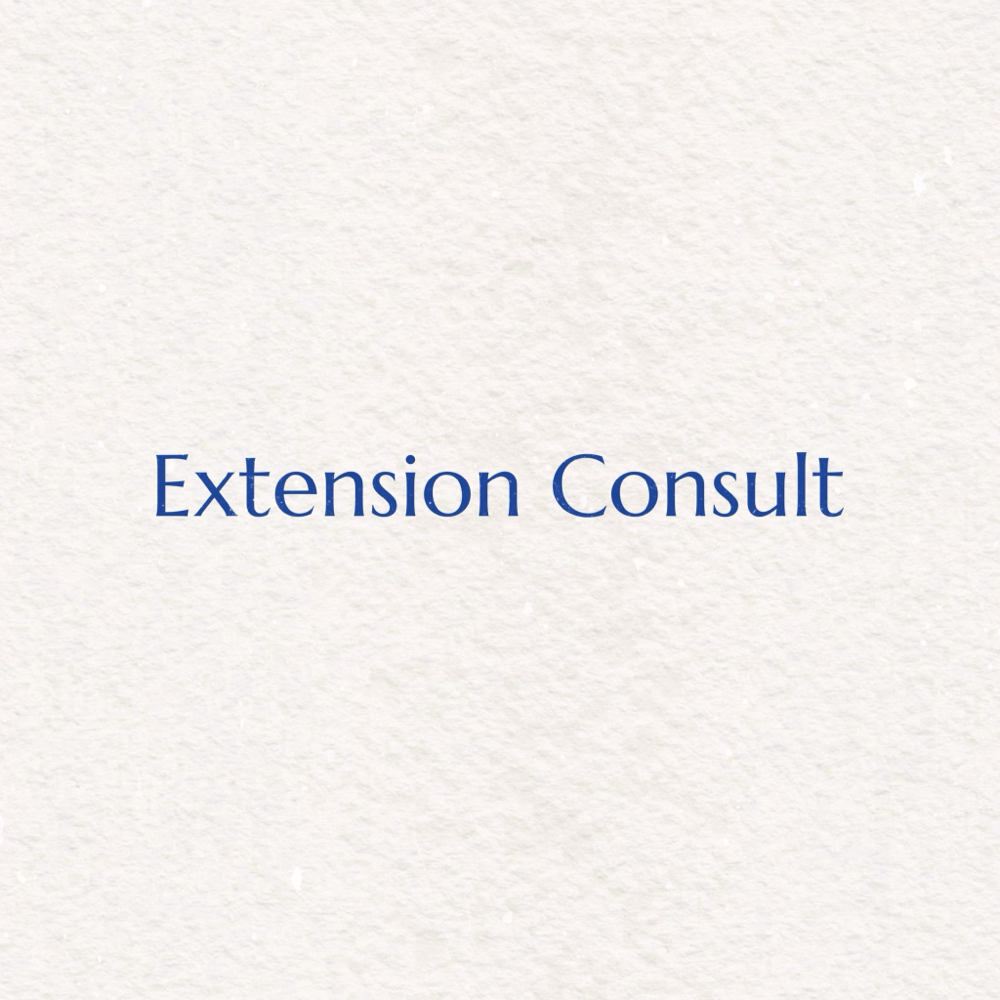 Extension Consult at SL8 Hair Salon in Wyndmoor, PA