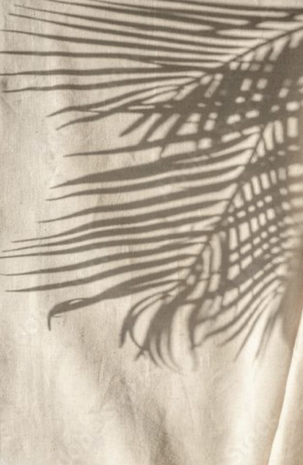 Signature Facial + Rezenerate