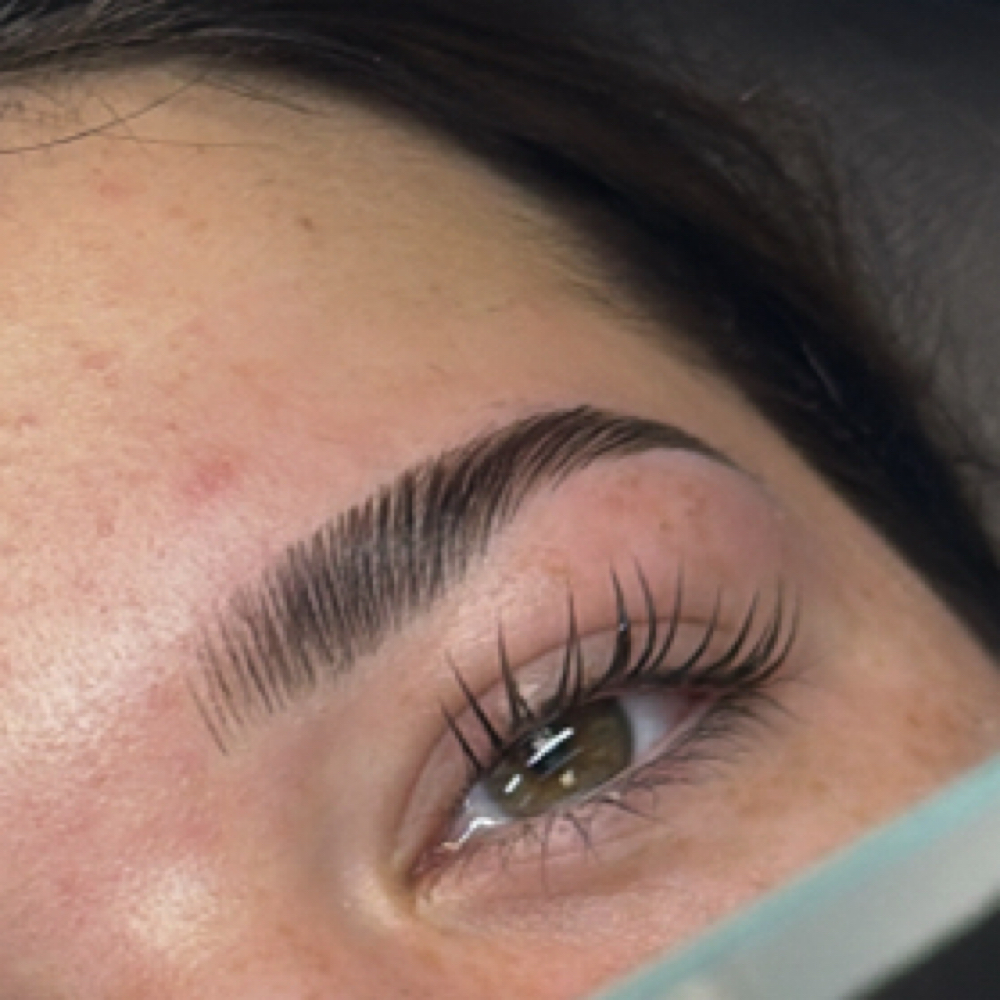 The Sculpted Lami (no Tint)🖤 at Pheebeesbeautybar in Palm Bay, FL