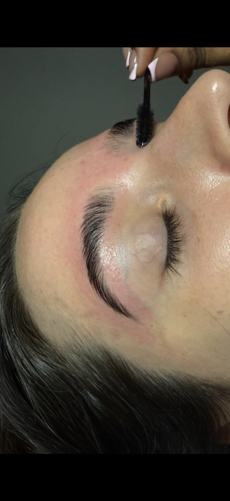 The Sculpted Lami (no Tint)🖤