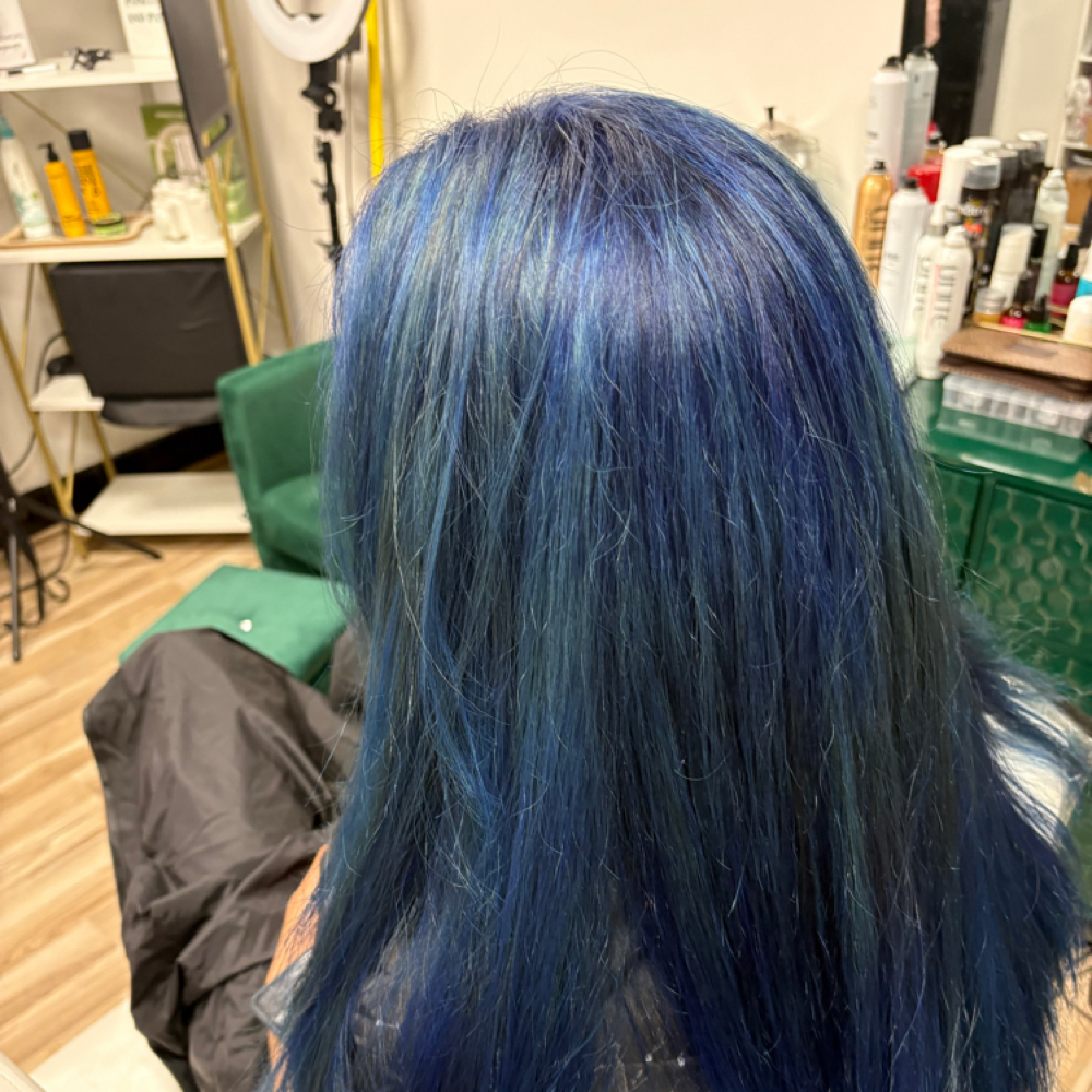 Toner Or Fashion Color at Hair Designs By Kaylee Jayde in Lancaster, PA