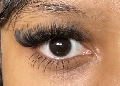 Light Volume Set W/ Bottom Lashes