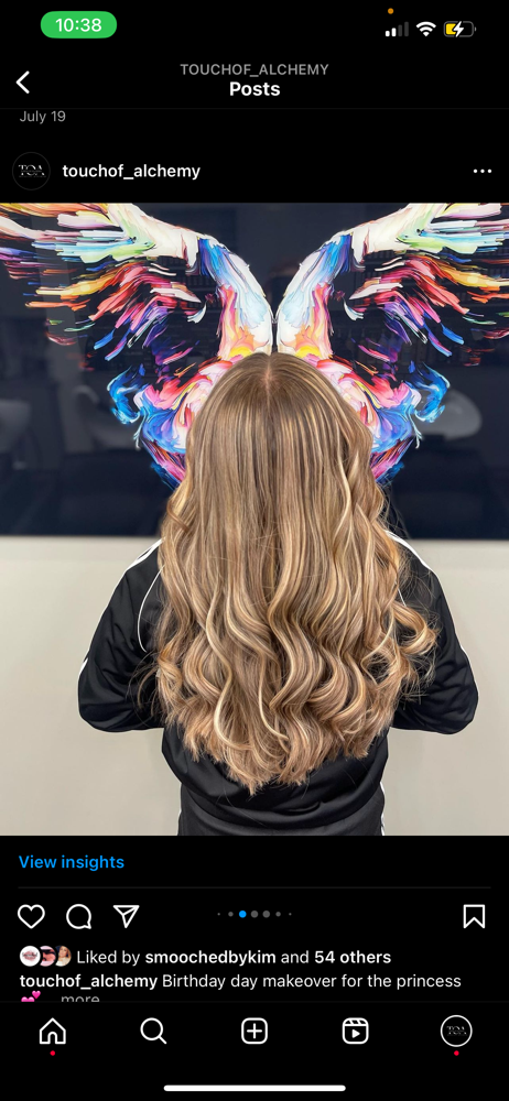 Highlight Partial, Full Or Bayalage