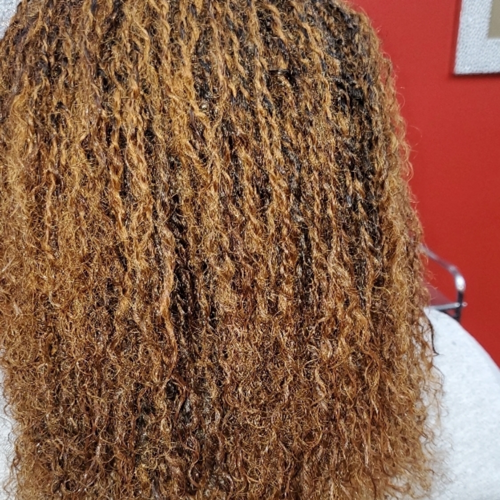 Micro Twist at Djina Braiding in Grand Prairie, TX