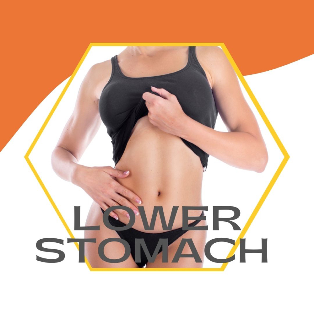 Lower Stomach