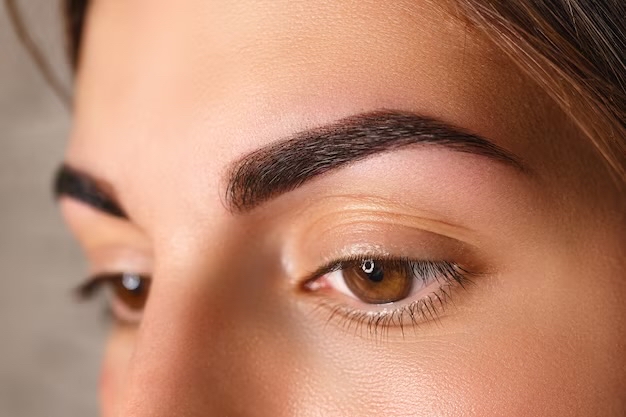 Brow Wow (tint&wax)
