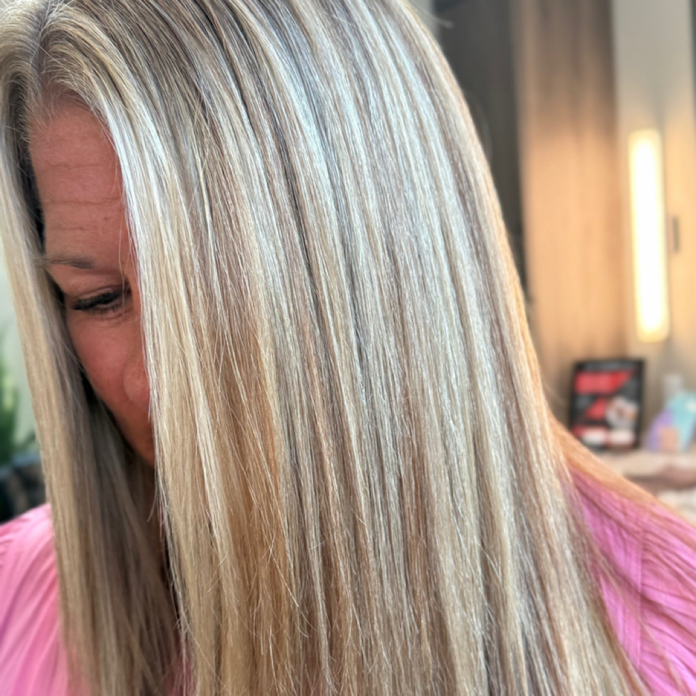 Partial Highlight at Renaissance Salon in Sun Prairie, WI