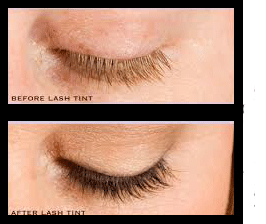 Lash Tint Add On To Facial