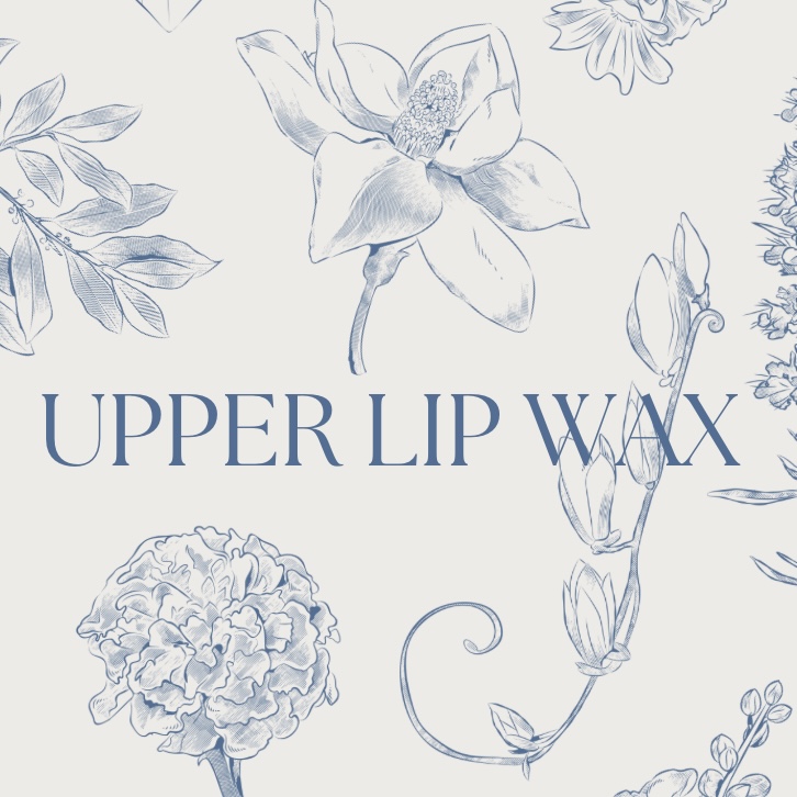 Upper Lip Wax