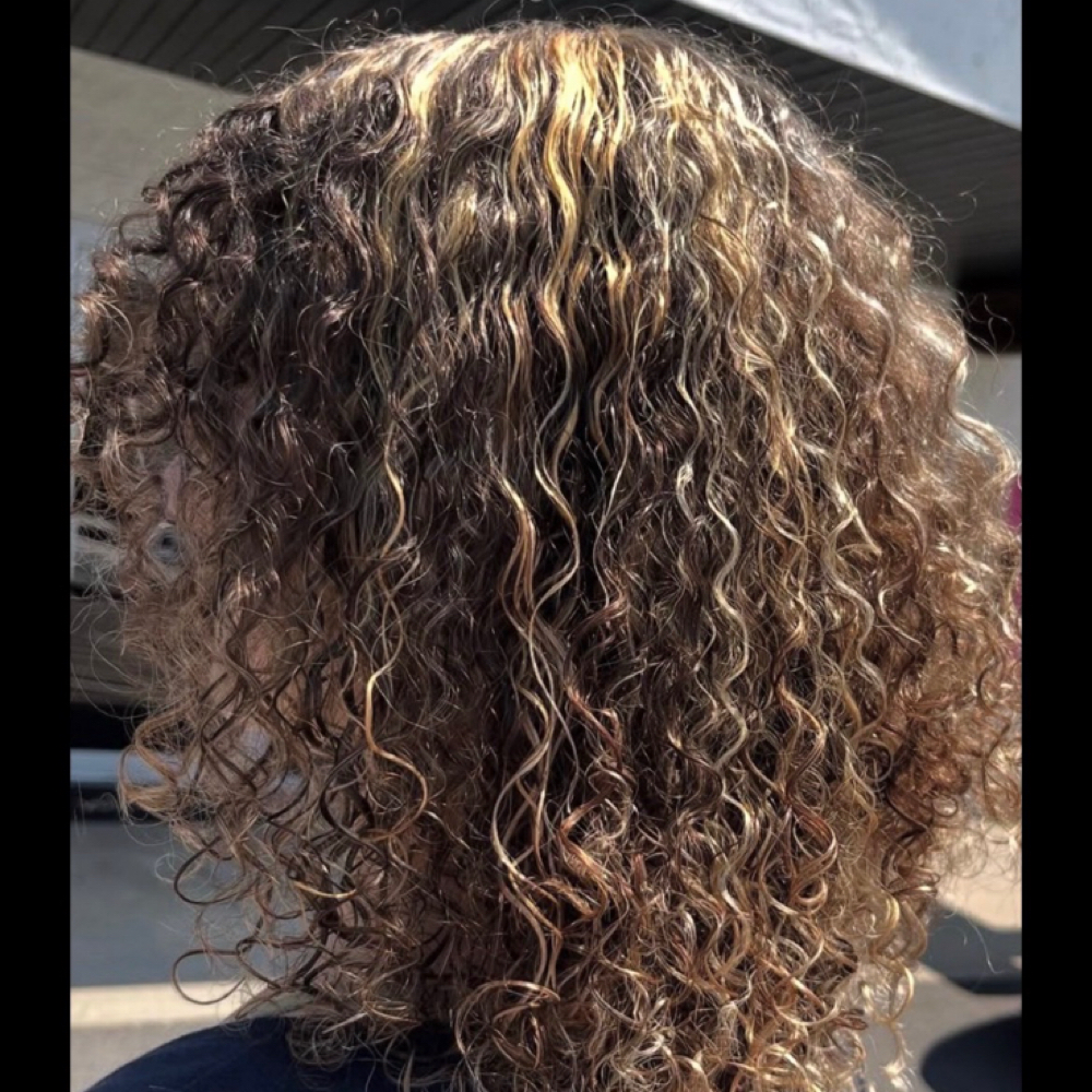 Full Highlight at Exquisite Salon in harrison, AR