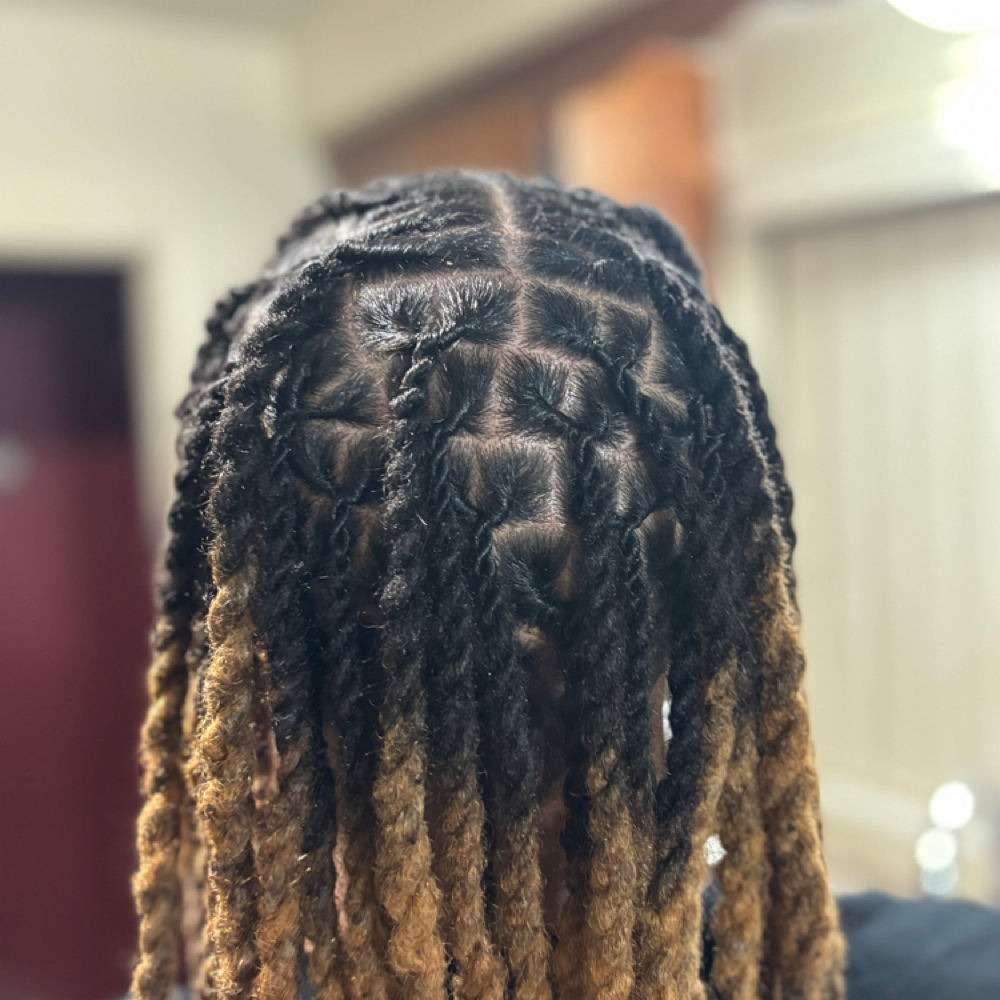 Retwist And Style at Royal Roots in Oak Park, MI