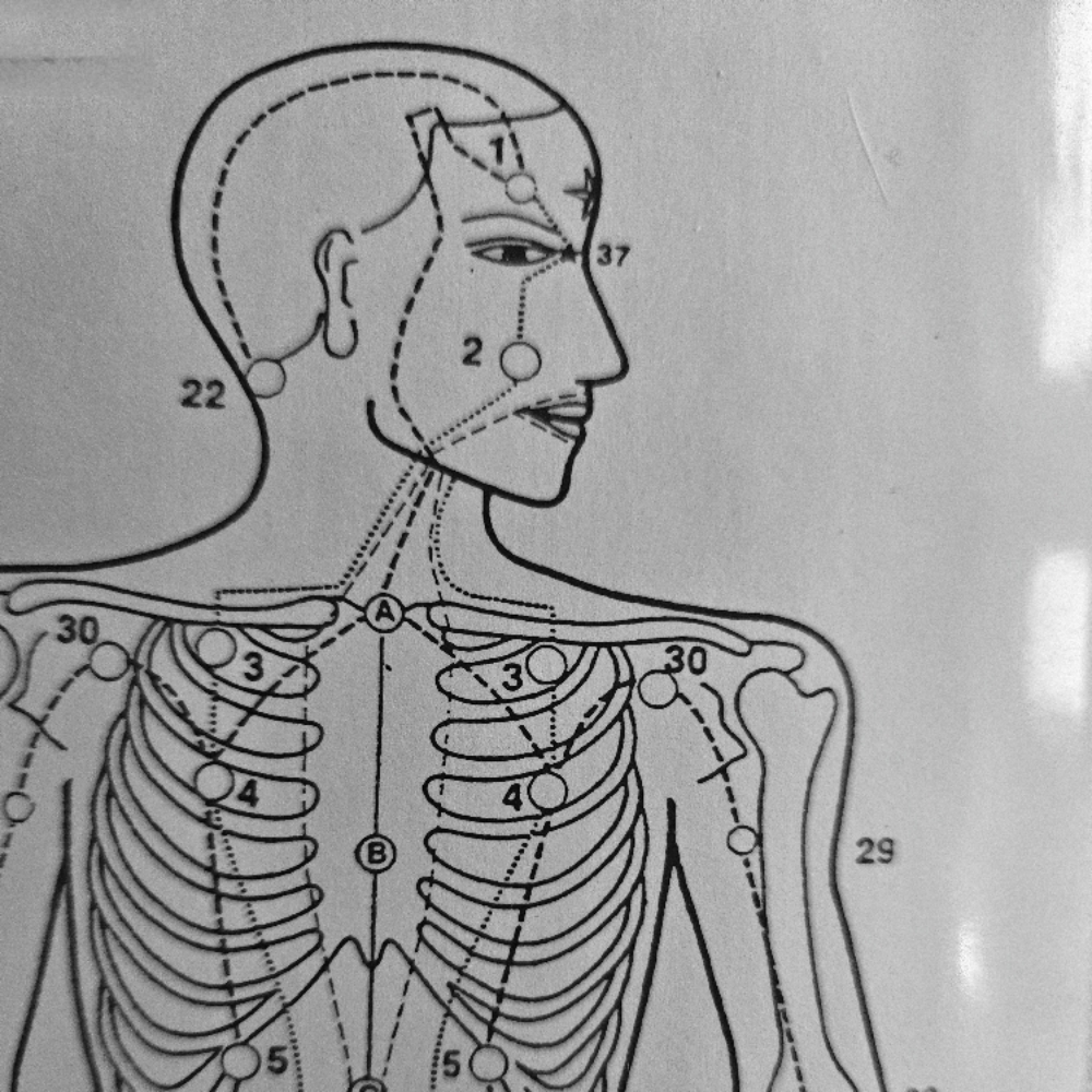 Armor Level Exploration 90m. at Screaming Octopus in East Wenatchee, WA