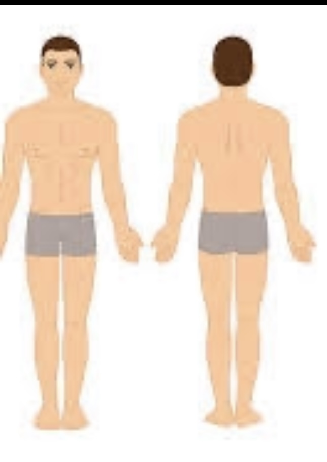 Full Body Wax - Male Only