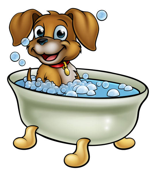 Bath & Tidy