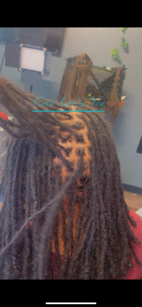 Retwist (Interlocking Method) at Cierra Donahue in Waterford, MI