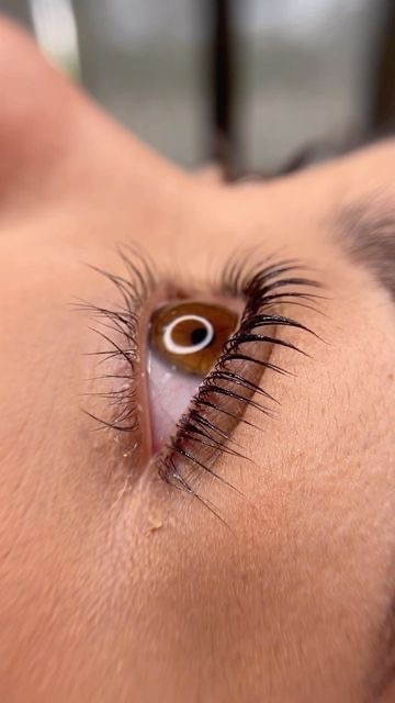 Eyelash Tint