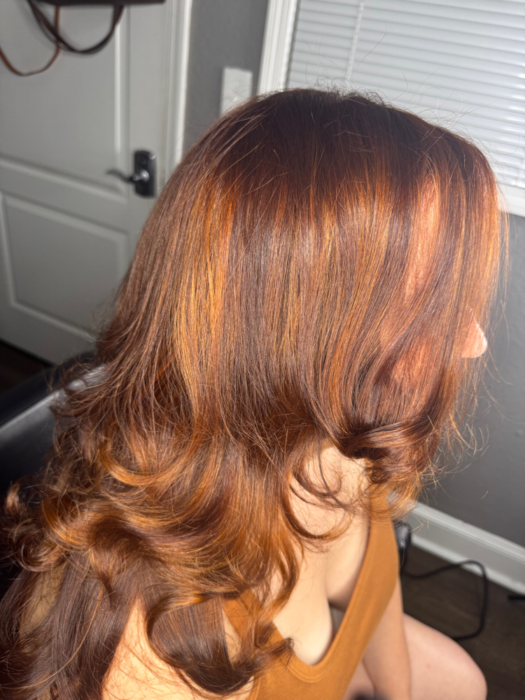 Highlights