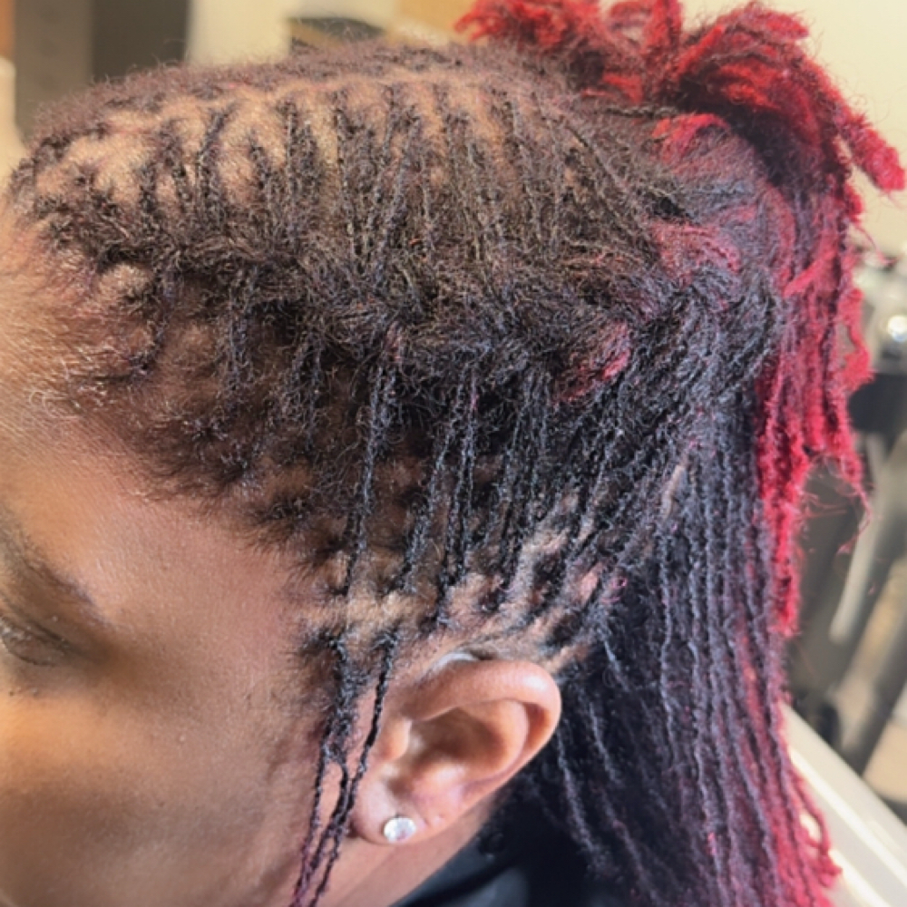 Microloc Style at Locs Of Faith Hair Studio in Summerville, SC