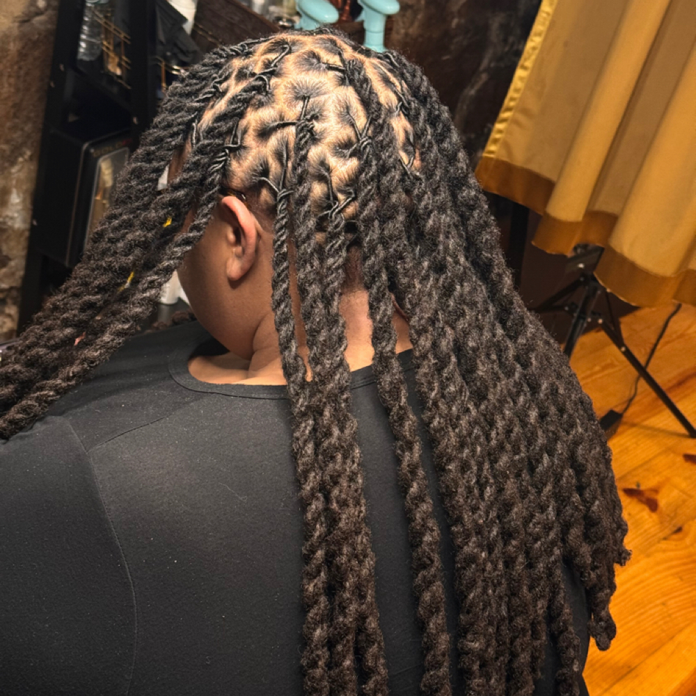 Complex Loc Style at Plumbhunneez in New Bedford, MA