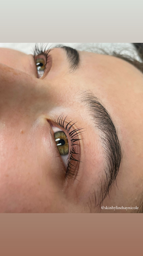 Eyebrow / Lash Tint at Skin by Lindsay Nicole in Elk Grove, CA
