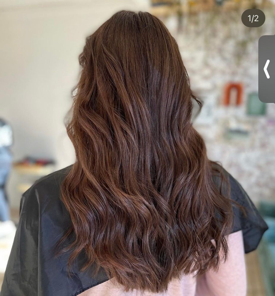 Root Touch Up