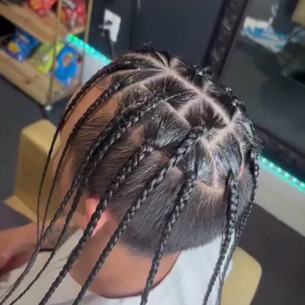 Individual Braids at Juicy Braidz in San Diego, CA