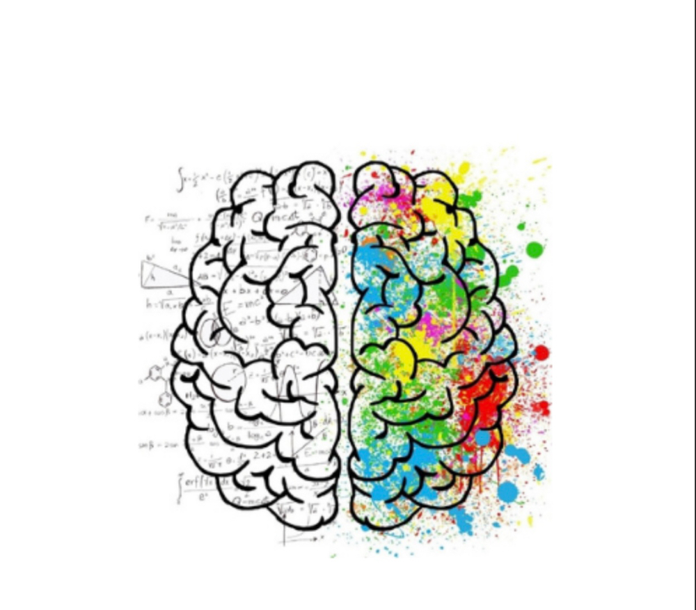 sensory cut at Savannah at J. Andrew’s Salon in Warner Robins, GA