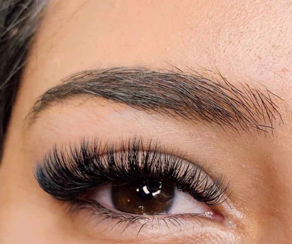 MODEL Volume Lash Extension Set