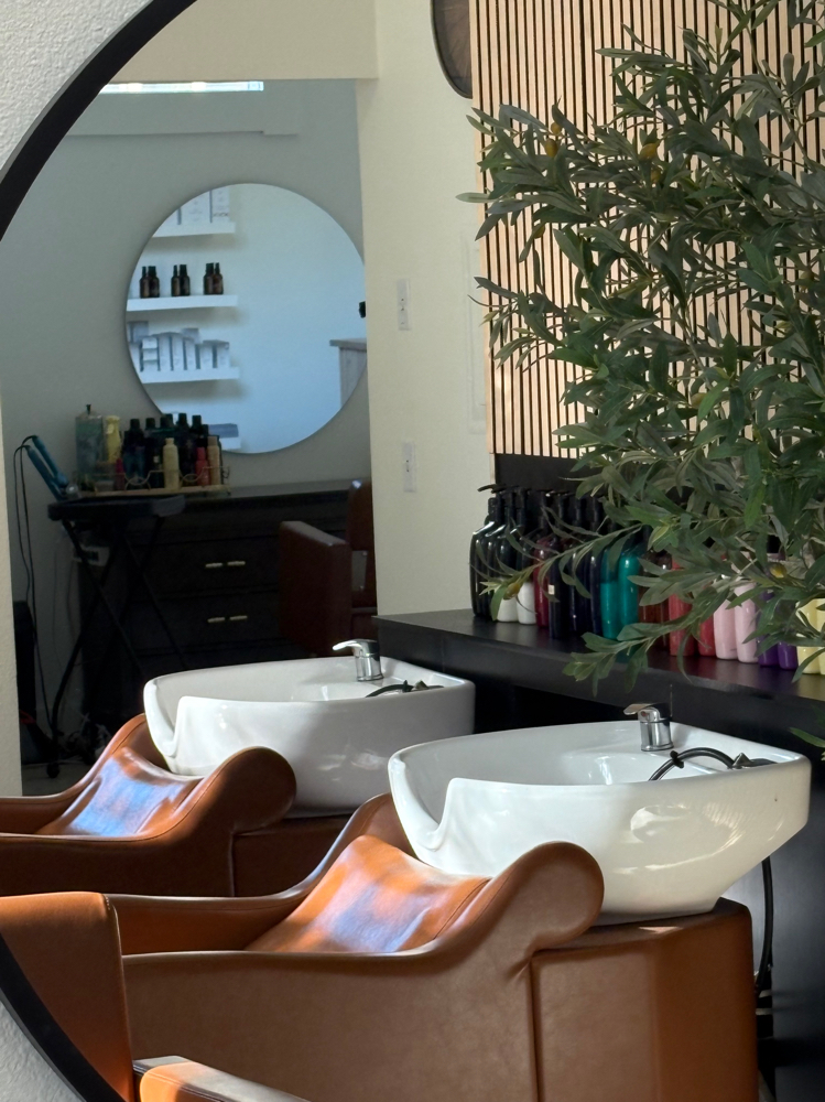 Consultation! at Luxe Brunette Co. in Bend, OR