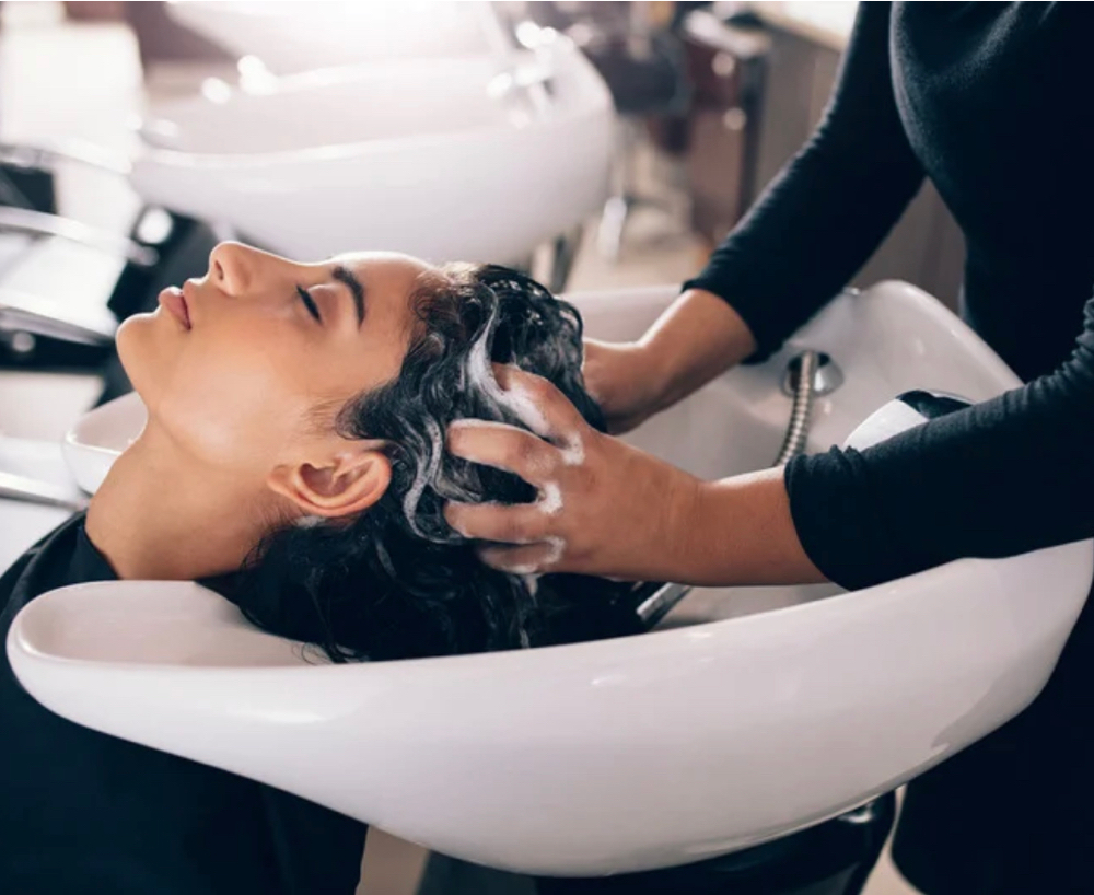 Shampoo And Style