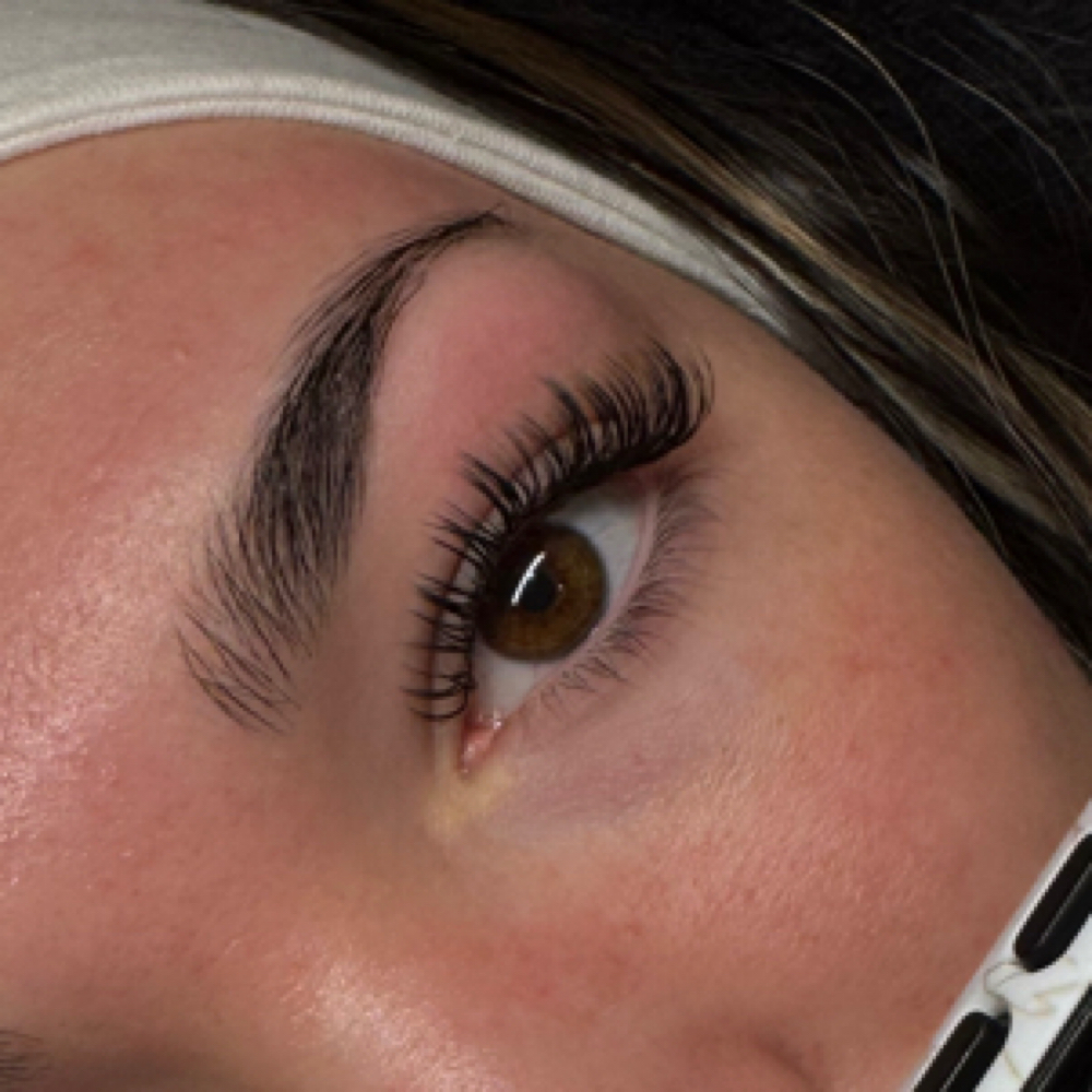 Wet Lash Extension Full Set at A.L Esthetics in St Clair Shores, MI