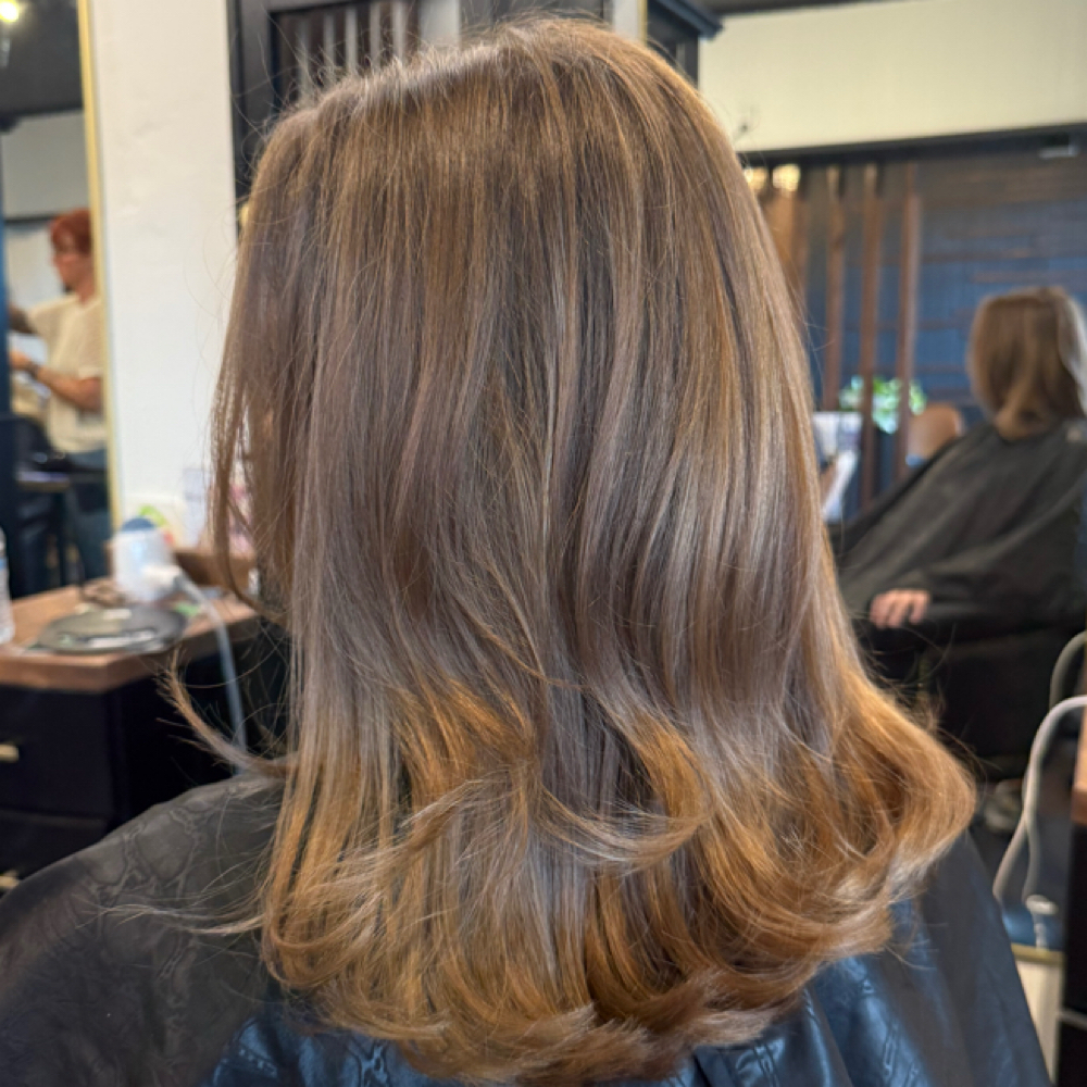 Grey coverage, Toner, & Cut at Daph Does Hair in Gardnerville, NV