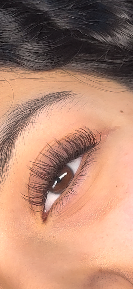 Brown Classic Lashes