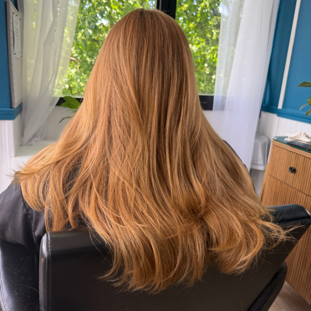 Hair Cut Blow Dry at Poppy & Fern Hair Studio in Watertown, NY