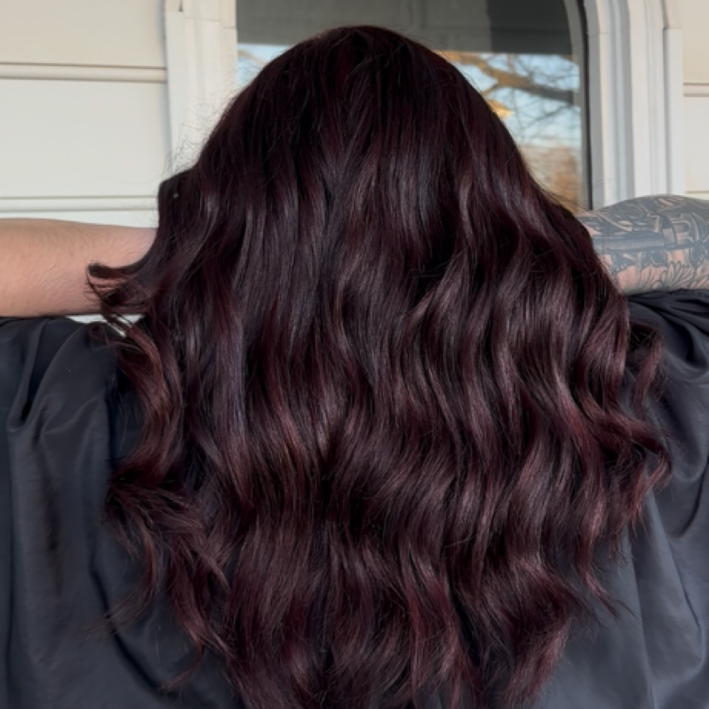 All Over Color at Hair By Kaydee Crocker in Spartanburg, SC
