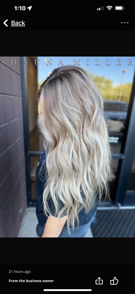 FULL HIGHLIGHTS + ROOTS + TONER + CUT*