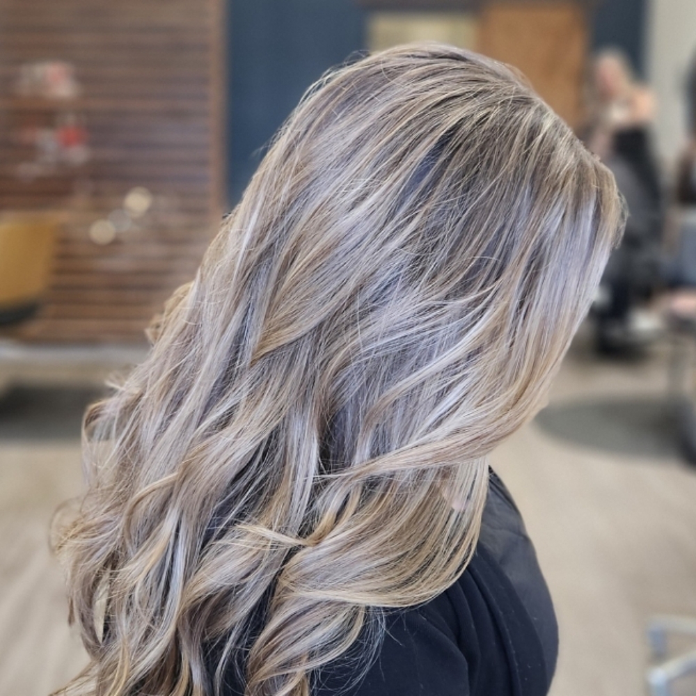 Full Highlight W/ Cut at Mary Doyle Black Sheep Hair Studio in Clermont, FL