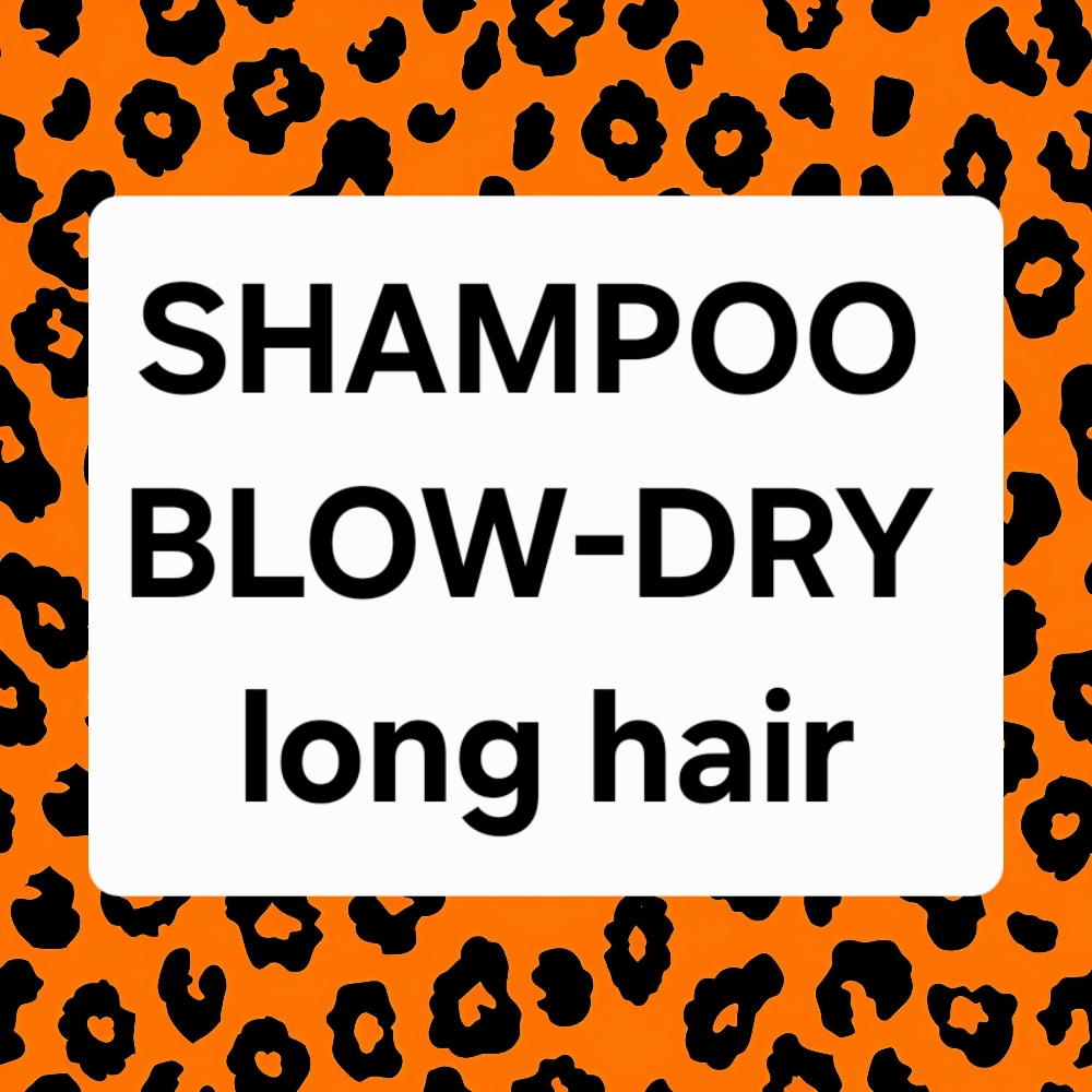 Shampoo Blow-dry Long Hair ($81) at WILDCAT HAIR STUDIO in San Diego, CA