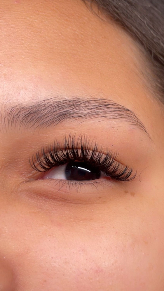 Wet Lash Set at Beauty Bloom in San Antonio, TX