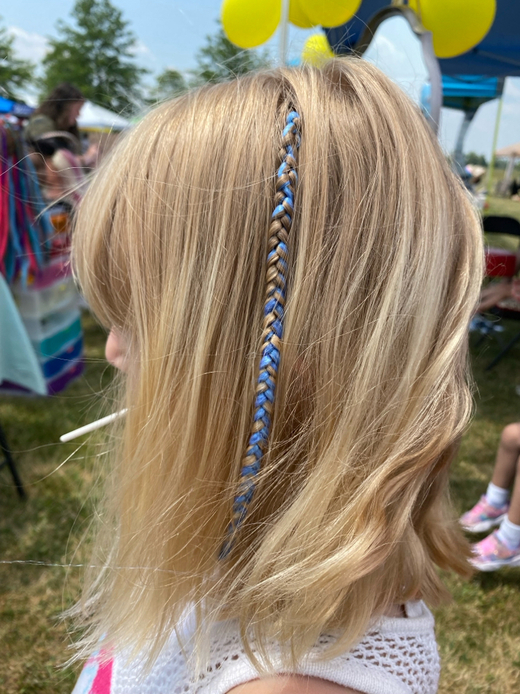 Fairy Braid