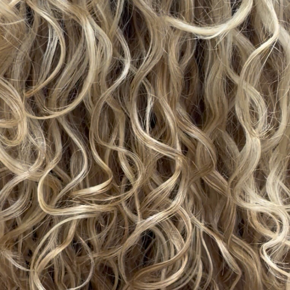 Tune Up at Jae Curl Studio in Sarasota, FL