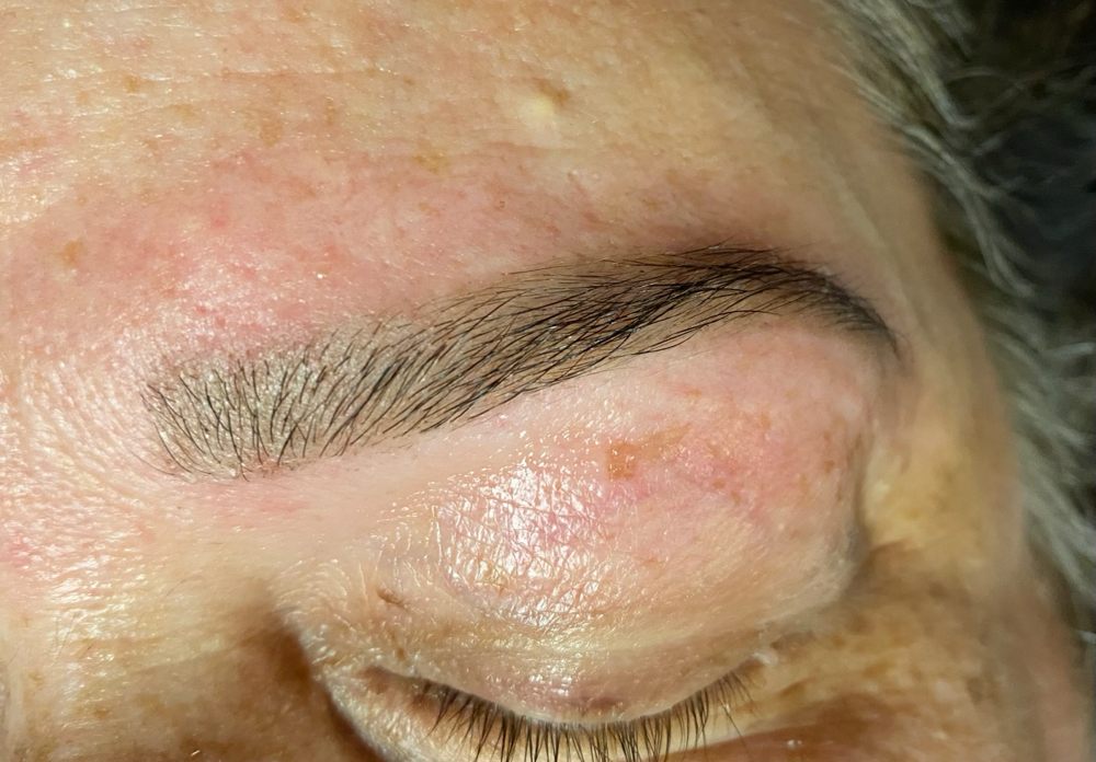 Brow Wax, Map, & Tint
