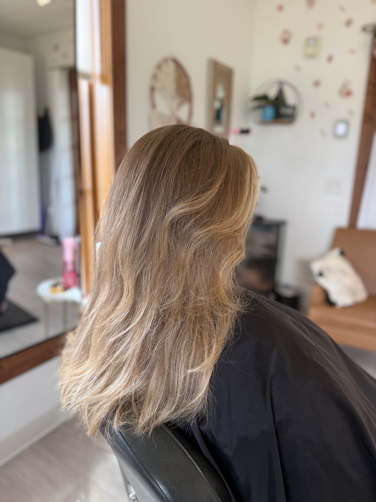 Partial Highlight / Balayage